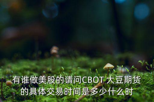 有誰做美股的請問CBOT 大豆期貨的具體交易時間是多少什么時