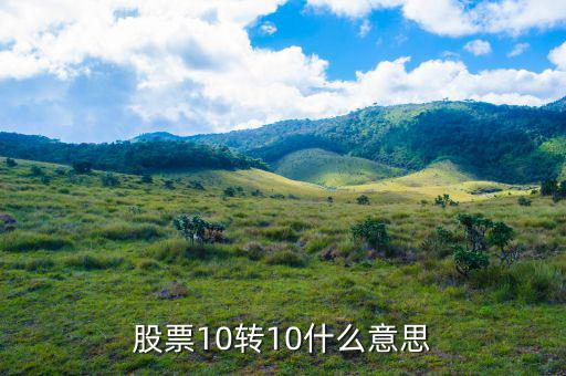 股票10送10轉(zhuǎn)10是什么意思，股市什么是10送10