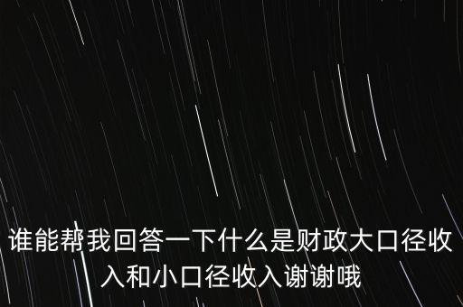 誰能幫我回答一下什么是財(cái)政大口徑收入和小口徑收入謝謝哦