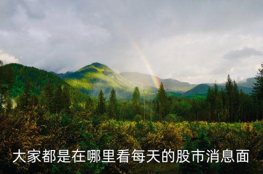 每天的股票信息看什么網(wǎng)站，大家都是在哪里看每天的股市消息面