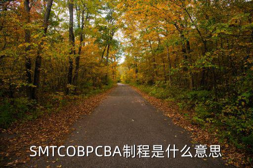 SMTCOBPCBA制程是什么意思