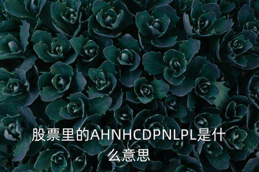 股票nl是什么意思，股票里的AHNHCDPNLPL是什么意思