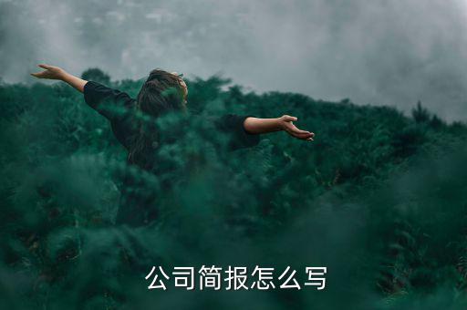  公司簡報怎么寫