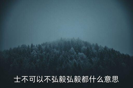 市布可以不弘毅什么意思，曾子曰士不可以不弘毅 什么意思