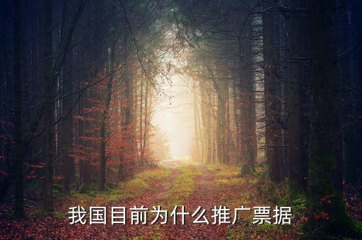 我國(guó)目前為什么推廣票據(jù)