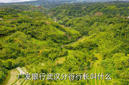 廣發(fā)銀行武漢分行行長(zhǎng)叫什么