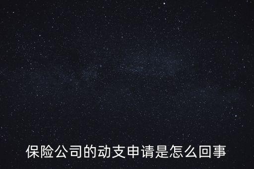 什么是動支申請，怎么樣支申請