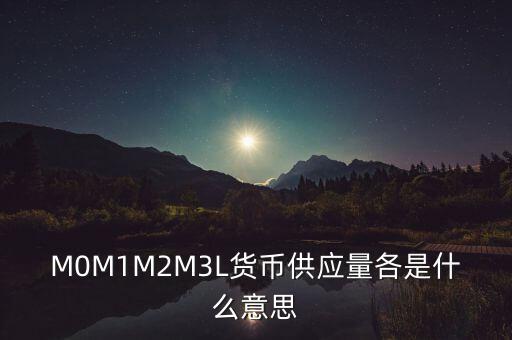 M0M1M2M3L貨幣供應(yīng)量各是什么意思