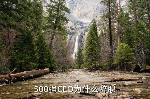 羅建川為什么辭職，500強CEO為什么辭職