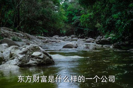 東方財富是什么樣的一個公司