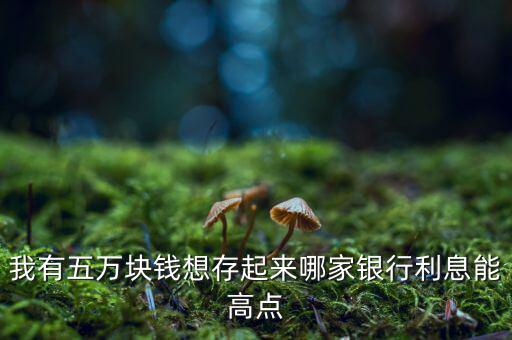 我有五萬(wàn)塊錢(qián)想存起來(lái)哪家銀行利息能高點(diǎn)