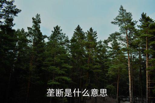 價格壟斷是什么意思，壟斷是什么意思