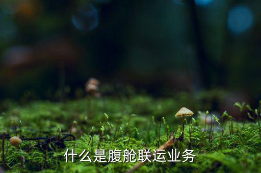 什么叫聯(lián)運業(yè)務(wù)，什么是腹艙聯(lián)運業(yè)務(wù)