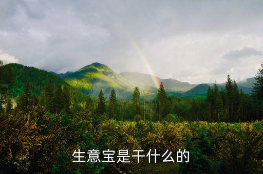 生意寶屬于什么版塊，生意寶聽說(shuō)過(guò)嗎聽說(shuō)能快速賺錢是真的假的