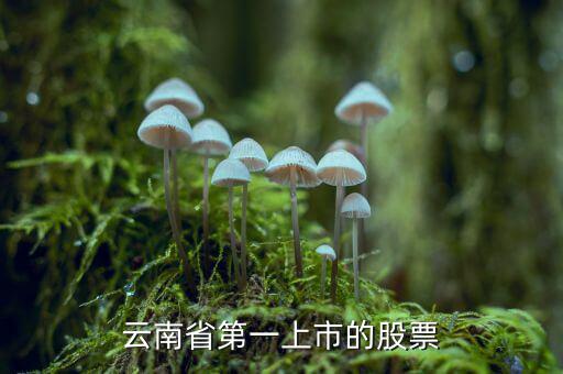 沃森生物是什么股，業(yè)績巨虧的沃森生物為什么股價那么高