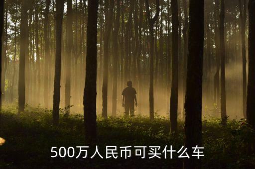 500萬(wàn)人民幣可買什么車