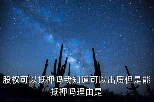 股權為什么不能抵押，股權可不可以進行抵押