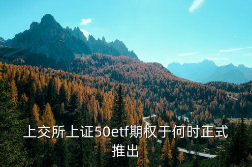 上交所上證50etf期權(quán)于何時正式推出