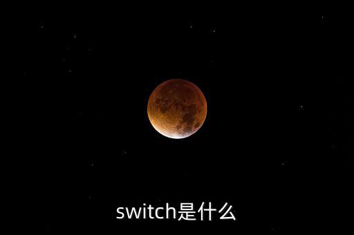 switch是什么