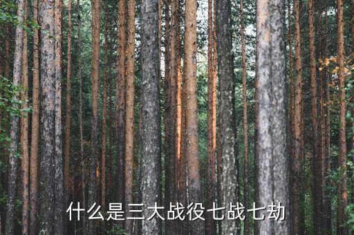 環(huán)保三大戰(zhàn)役是什么，我國有哪些環(huán)保行動