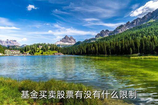 基金買賣股票有沒有什么限制