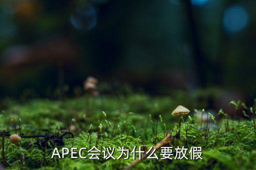 APEC會議為什么要放假