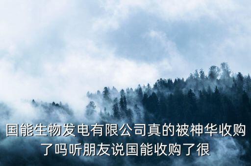 國能生物發(fā)電有限公司真的被神華收購了嗎聽朋友說國能收購了很