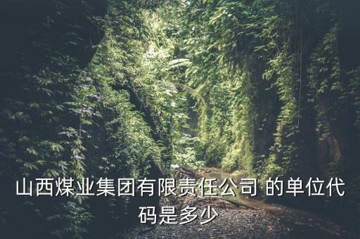 山西煤業(yè)集團有限責(zé)任公司 的單位代碼是多少