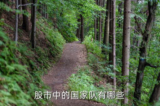 股票國(guó)家隊(duì)是什么，股票國(guó)家隊(duì)是什么意思