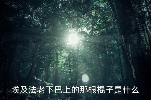 埃及法老的胡子叫什么，胡扶是埃及的第幾代法老