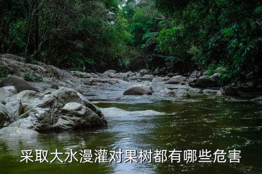 采取大水漫灌對(duì)果樹(shù)都有哪些危害