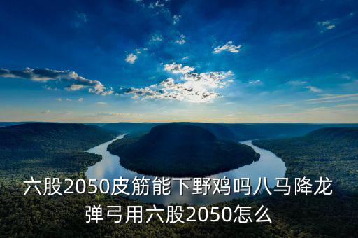 2050四股能下什么貨，2050四股到底配多大的鋼O合適