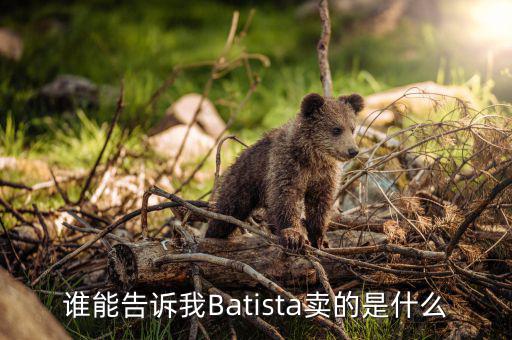 誰能告訴我Batista賣的是什么