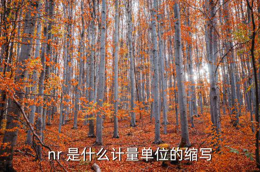 nr 是什么計量單位的縮寫