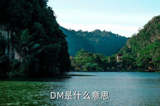 什么是dm理財(cái)，DM在國際金融里面是什么意思