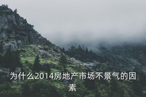 為什么2014房地產(chǎn)市場不景氣的因素