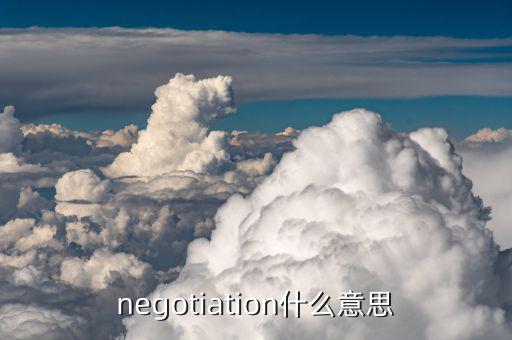 negotiation什么意思