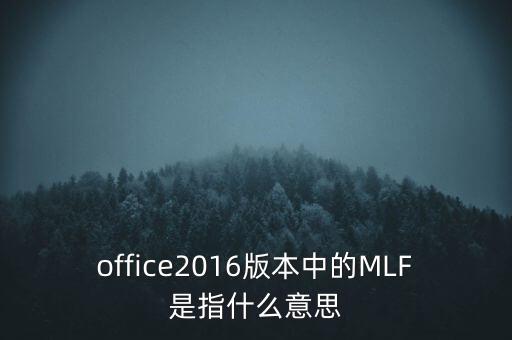 office2016版本中的MLF是指什么意思