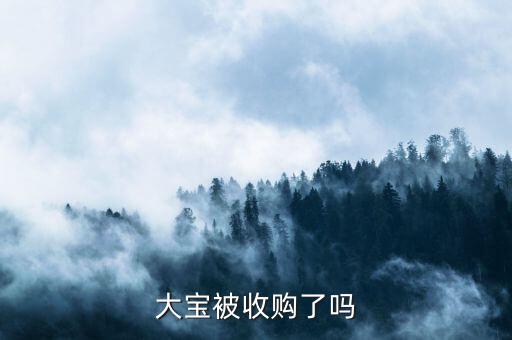 大寶什么時(shí)候被強(qiáng)生收購的，大寶被收購了嗎