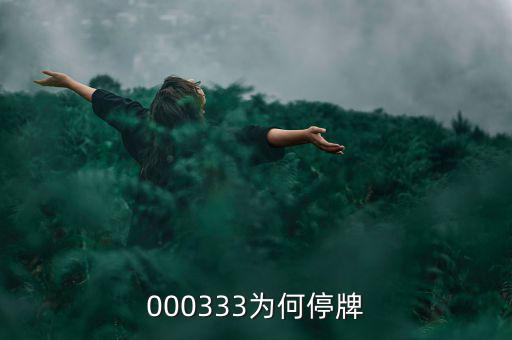 000333為什么停盤，000333為何停牌