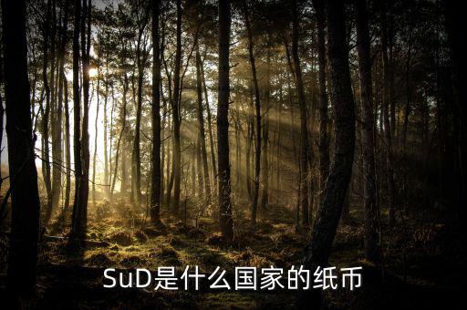 sud是什么貨幣，SUD是什么貨幣單位