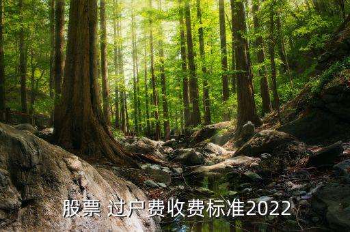  股票 過戶費(fèi)收費(fèi)標(biāo)準(zhǔn)2022