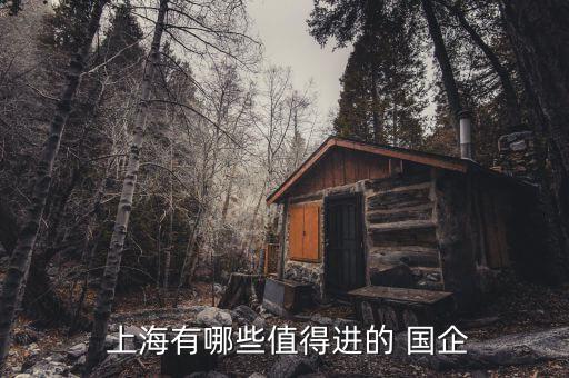 上海國企怎么進,上海國企上班需要居住證