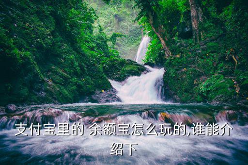 支付寶里的 余額寶怎么玩的,誰(shuí)能介紹下