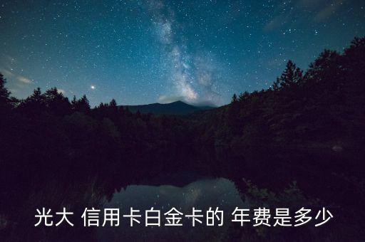 光大信用卡年費怎么算,光大bank信用卡年費如何免稅?