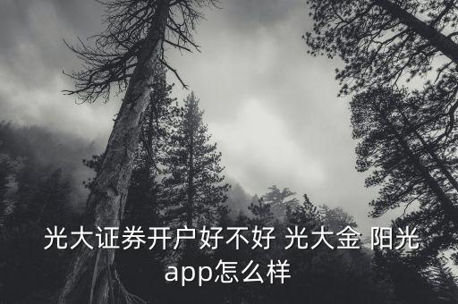  光大證券開戶好不好 光大金 陽光app怎么樣