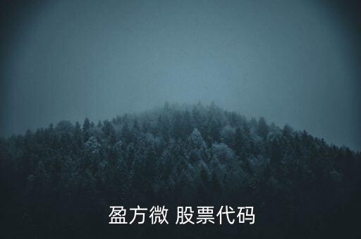 盈方微股票怎么樣,盈方微電子有限公司注冊(cè)地為湖北省荊州市