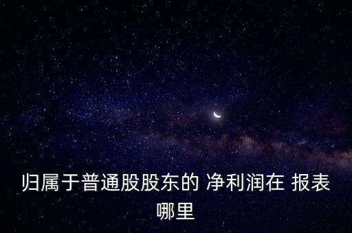 歸屬于普通股股東的 凈利潤在 報表哪里