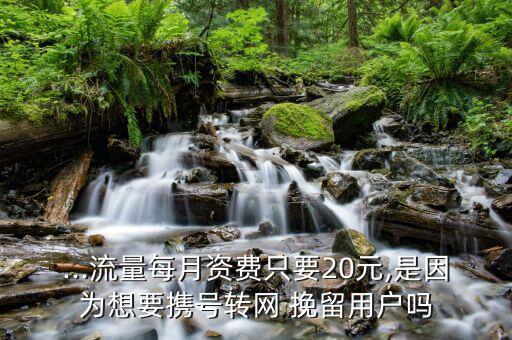 ...流量每月資費只要20元,是因為想要攜號轉(zhuǎn)網(wǎng) 挽留用戶嗎