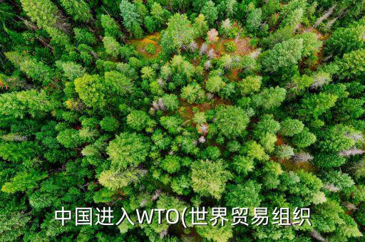 中國進入WTO(世界貿易組織